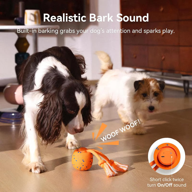 Smart Interactive Dog Toy 🐶🎾