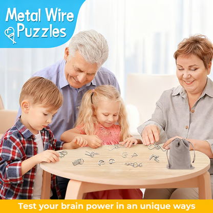 Metal Montessori Puzzle Solving