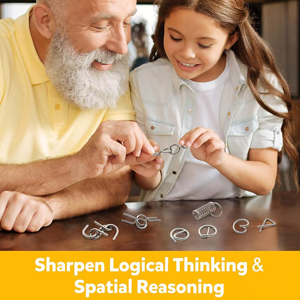 Metal Montessori Puzzle Solving