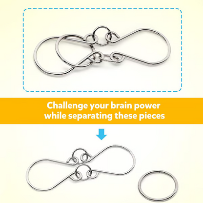 Metal Montessori Puzzle Solving