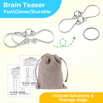 Metal Montessori Puzzle Solving